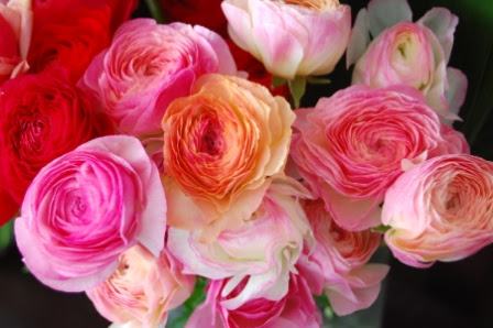 驚くばかり縁起 の いい 花 美しい花の画像