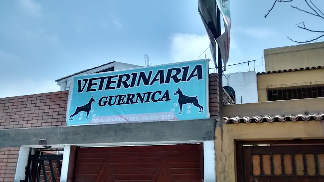 VETERINARIA GUERNICA