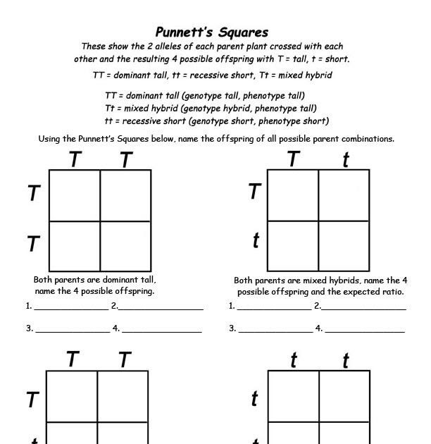 non-mendelian-genetics-worksheet-worksheet