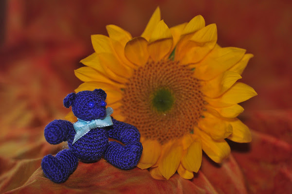 Sunflower Bear Sunflower Bear
