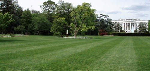 white house south lawn with vegetable garden