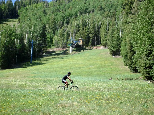 me mid race Punishment