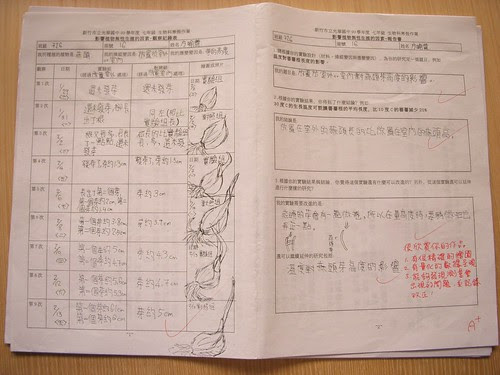 DSCN3288.JPG