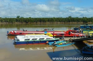sarikei15-resize