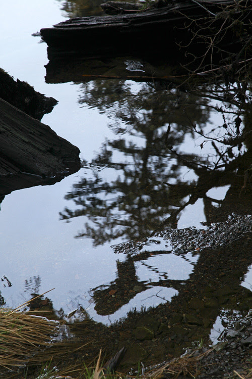 reflection and more at Son-i-Hat Creek, Kasaan, Alaska