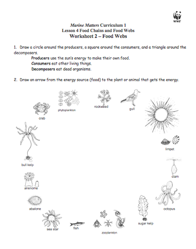 food web worksheet for middle school