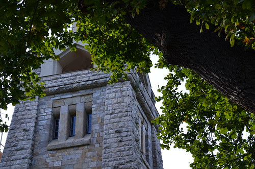 DSC_0042
