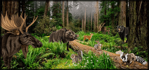 Risultati immagini per foreste e animali preistorici