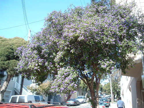 DSCF1014