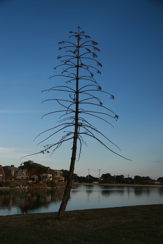 A week of hot weather