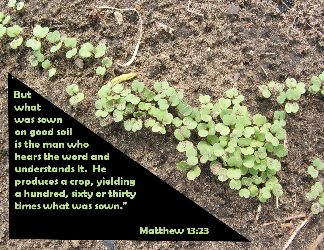 by Angie Ouellette-Tower for http://www.godsgrowinggarden.com/ photo SundaySowGood2_zps9pqowis1.jpg