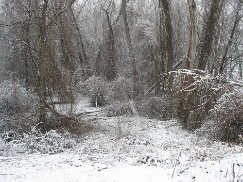 April snow 3
