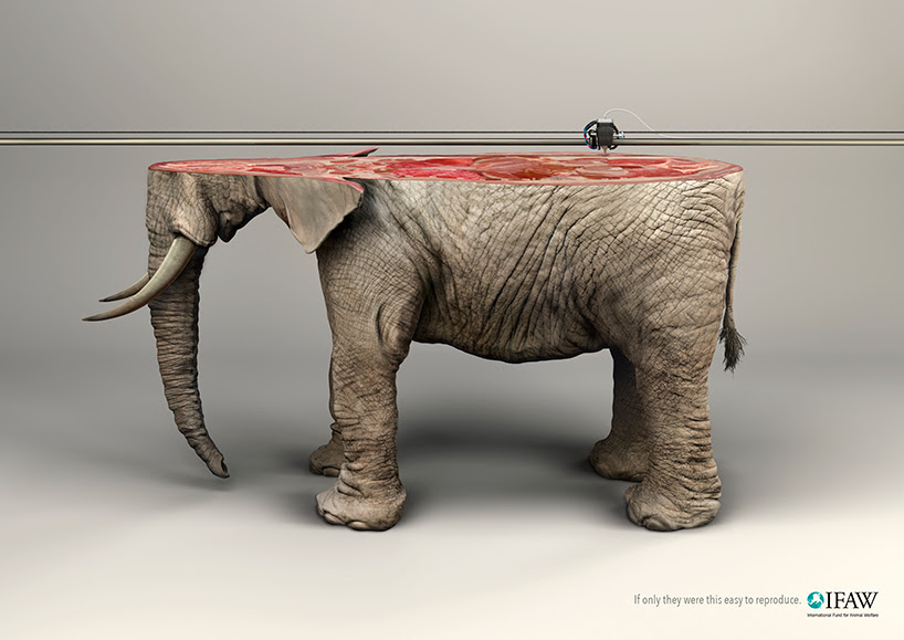 young rubicam IFAW 3D printed animals