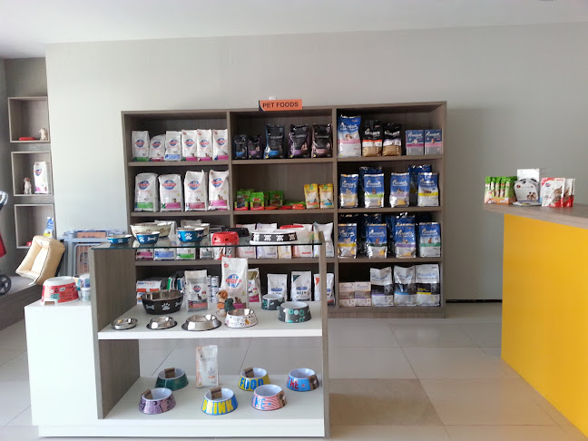 Avaliações sobre Emporium Cães e Gatos em Teresina - Veterinário