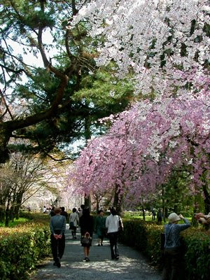 kyoto gosho imperial palace
