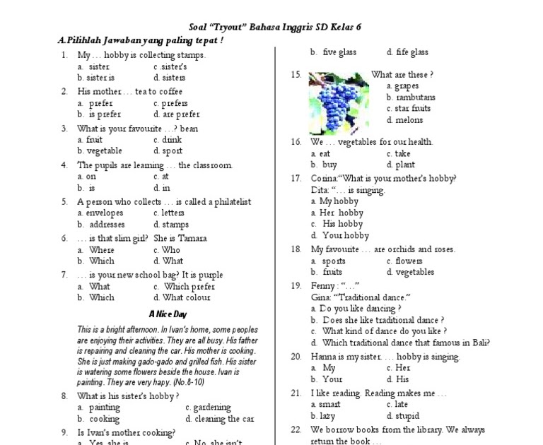 Contoh Soal Bahasa Inggris Kata Kerja Kelas 6 Sd Bedah