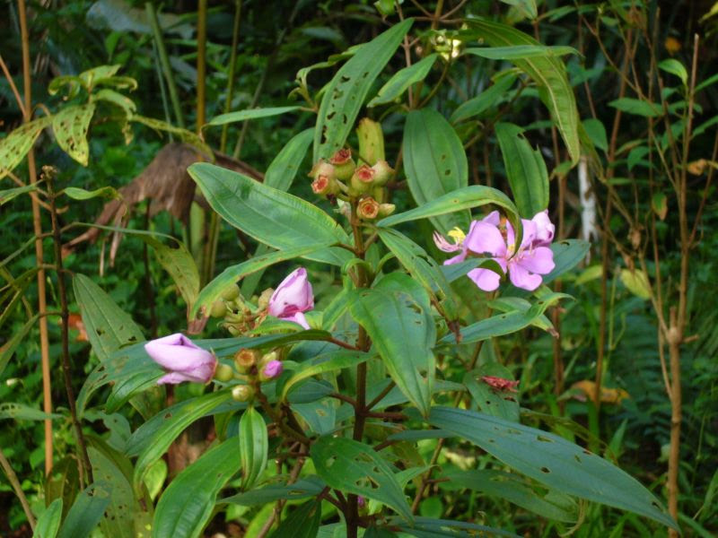 P1070068