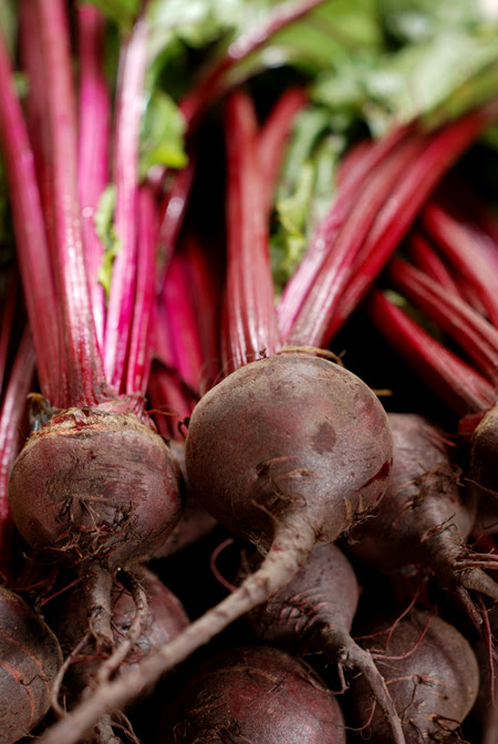 baby beetroot© by Haalo on Flickr