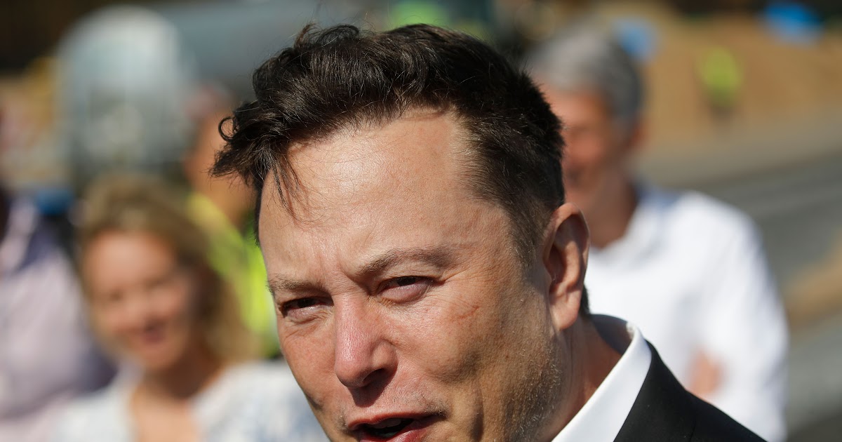 Dogecoin Elon Musk Lion King
