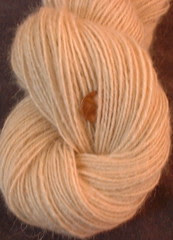 warp yarn May 2007
