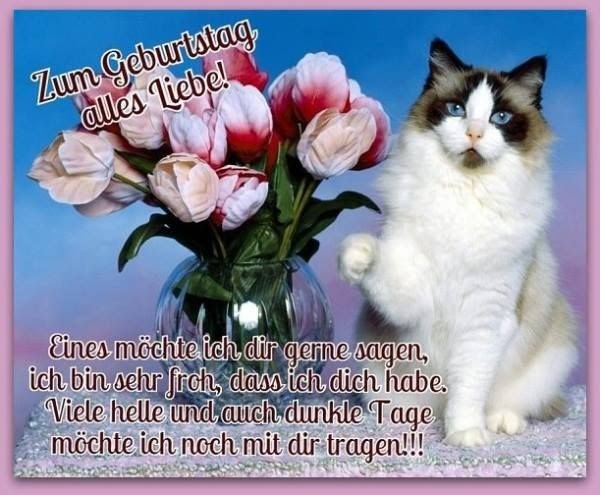 Gute Geburtstagswünsche Zum 17