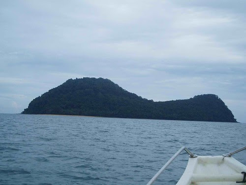 talang_11