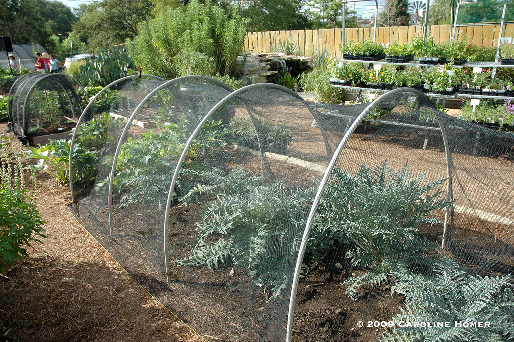 3544hoophouse