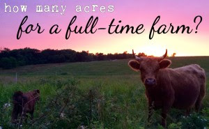 fulltimefarm