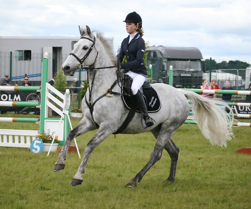 Showjumping