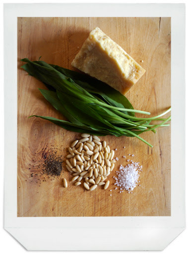 pesto_2