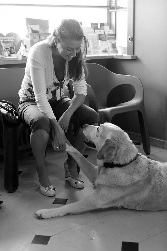 puppylove