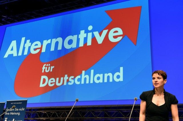 Risultati immagini per Afd germany