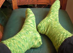 Discovery socks with basket weave cuff.