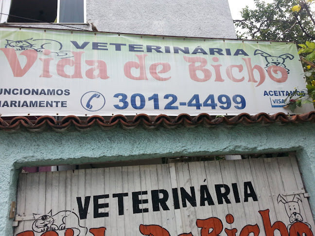 Veterinária Vida de Bicho