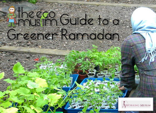 Green Up Your Ramadan at Home AND your Workplace! The Eco Muslim Guide To A Greener Ramadan