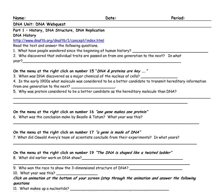 Transcription And Translation Practice Worksheet Answer Key
