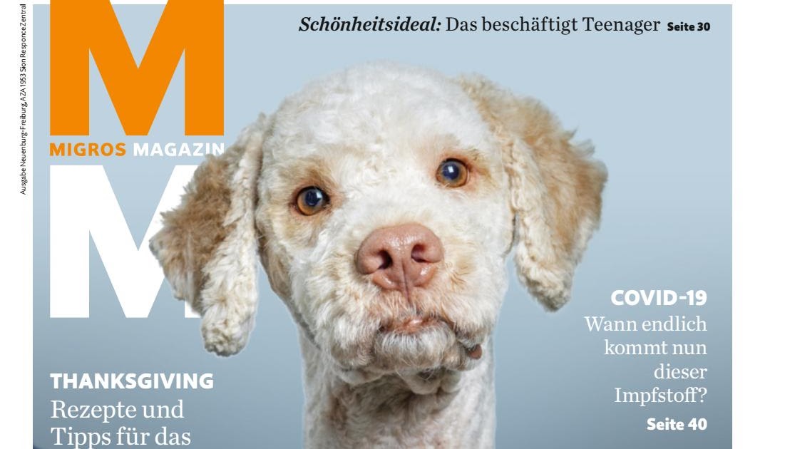 Veraltet Ob Keule Vom Rind 4 Buchstaben Ajasa Panji