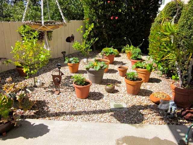 Building ideas: Backyard landscaping ideas no grass