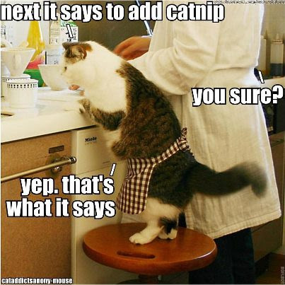 thanksgiving-cat-cooking-kitchen-kitty-help-lolcats.jpg (403×403)