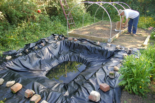 pond June 11 5