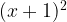 {(x + 1)^2} {(x + 1)^2}