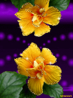 Желтые лилии