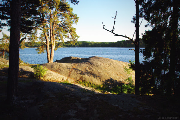 aliciasivert, alicia sivertsson, nature, water, waters, trees, salighetsdag, natur, vatten, träd