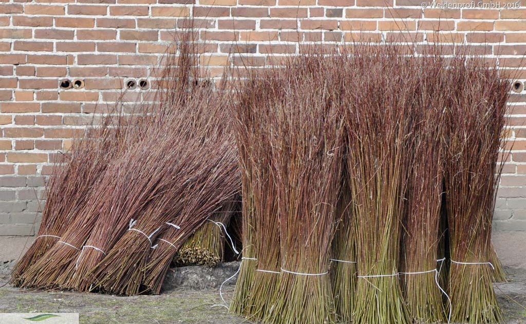 Weiden Deko Garten Gartengestaltung Idee