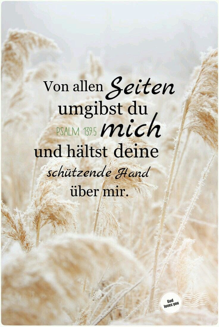 Schöne Sprüche Reiten Dag Leel