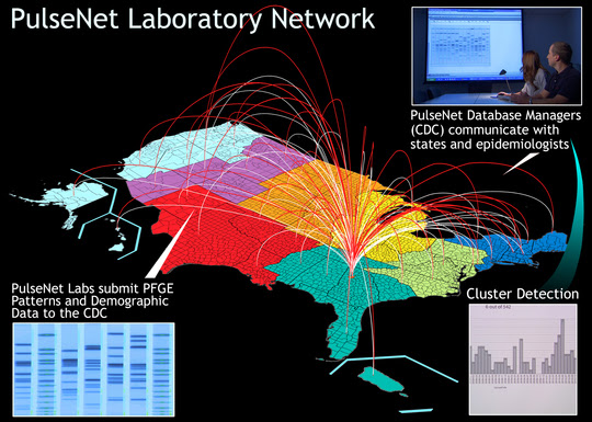PulseNet lab network
