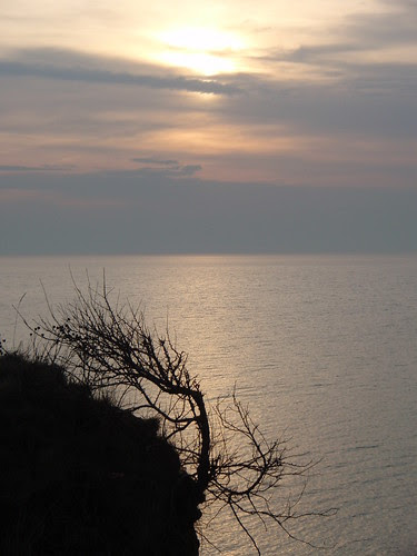 Abendstimmung Steilküste in Heiligenhafen