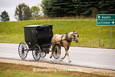 Amish Horse and Buggy, Winona County, Minnesota