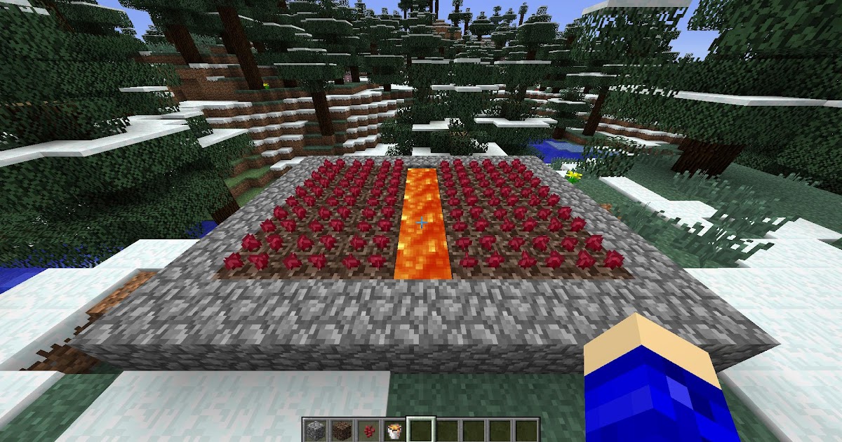 Can You Use Bone Meal On Nether Wart