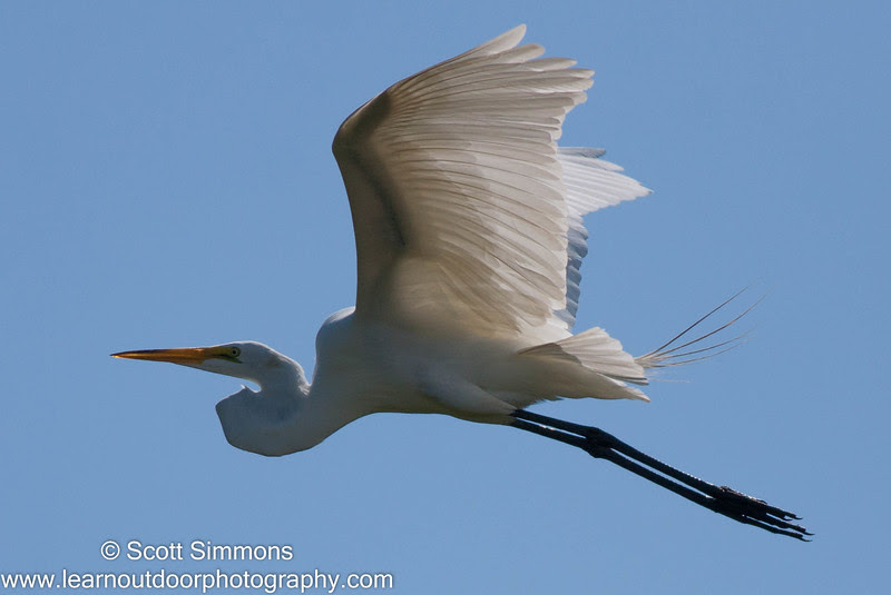 Photo & Video Sharing by SmugMug Photo & Video Sharing by SmugMug